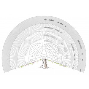 Arbre demi-roue 10 g&eacute;n&eacute;rations