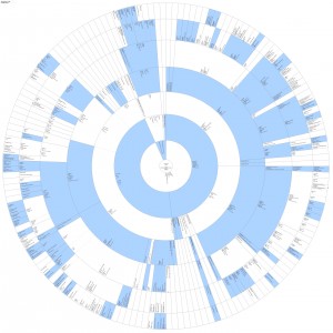 Roue de descendance damier 8 g&eacute;n&eacute;rations